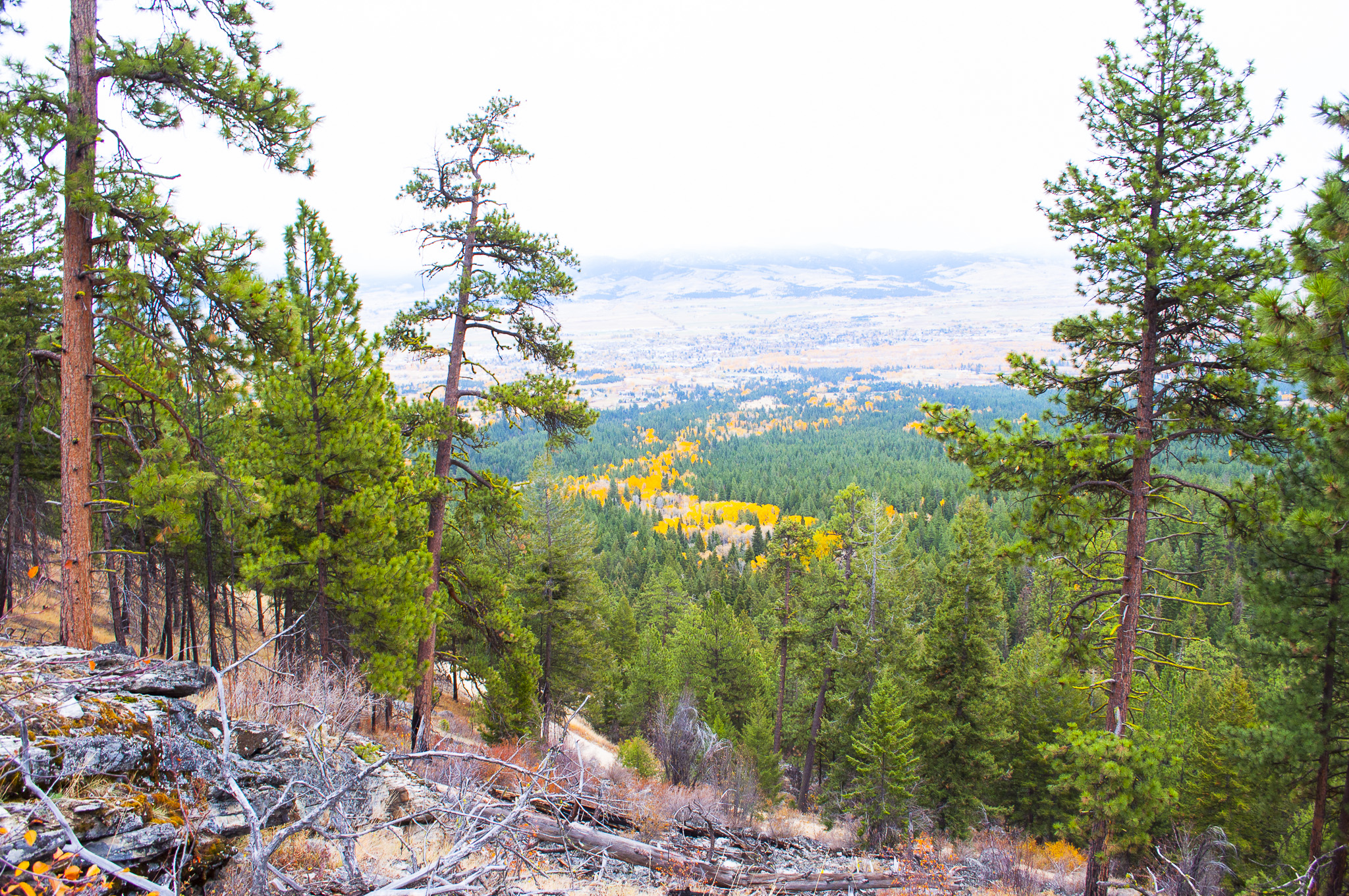 Bitterroot Valley Overlook