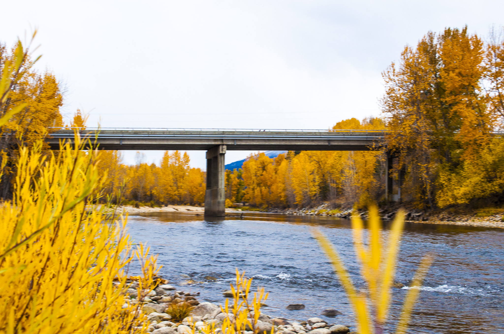 Bitterroot River during Fall